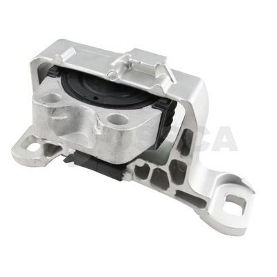 Variklio montavimas OSSCA 48234