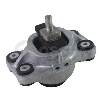 Variklio montavimas OSSCA 48403