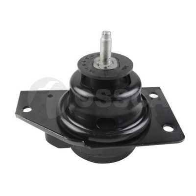 Variklio montavimas OSSCA 48920