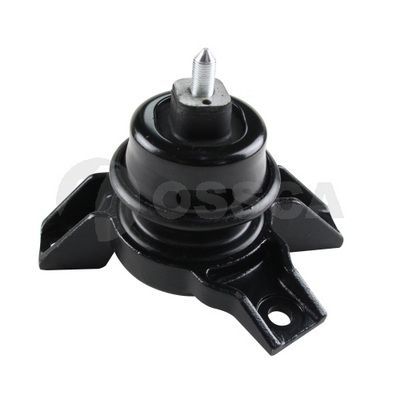 Variklio montavimas OSSCA 57668