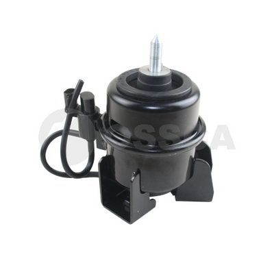 Variklio montavimas OSSCA 57718