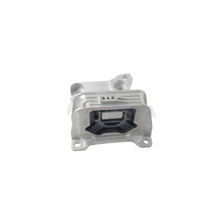 Variklio montavimas OSSCA 60384