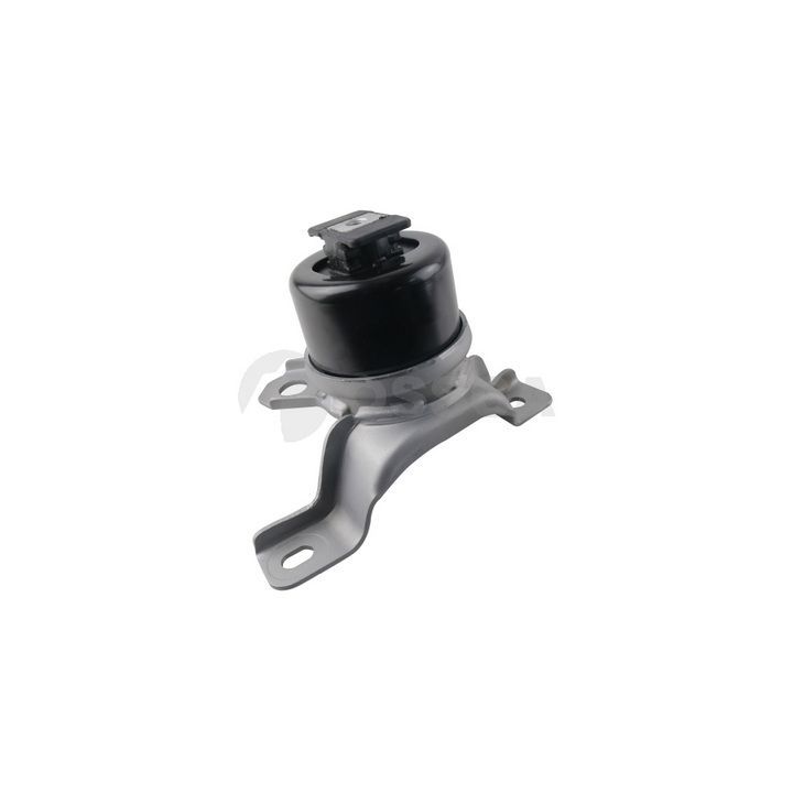 Variklio montavimas OSSCA 62749