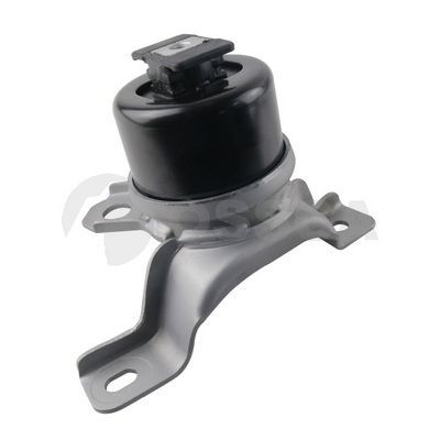 Variklio montavimas OSSCA 62749