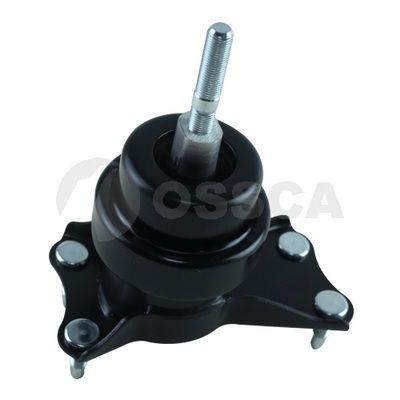 Variklio montavimas OSSCA 69821