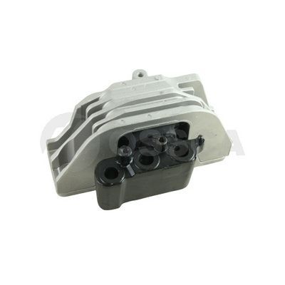 Variklio montavimas OSSCA 77148