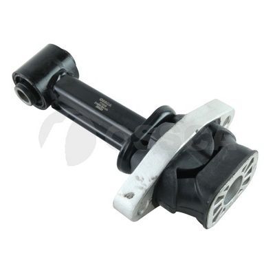 Variklio montavimas OSSCA 77209