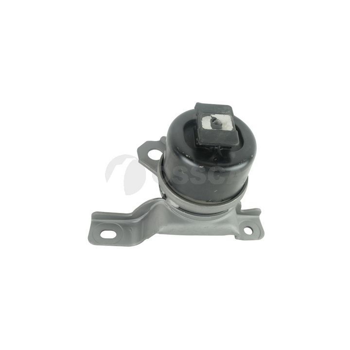 Variklio montavimas OSSCA 77877