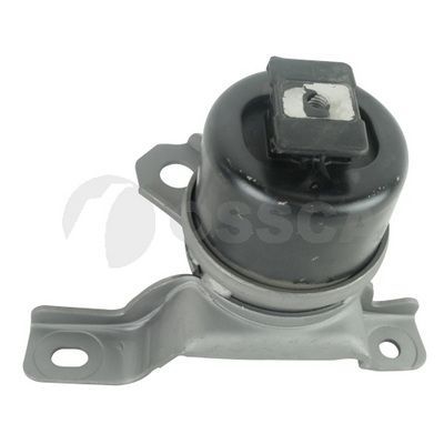 Variklio montavimas OSSCA 77877