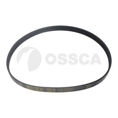 V formos rumbuoti diržai OSSCA 48521