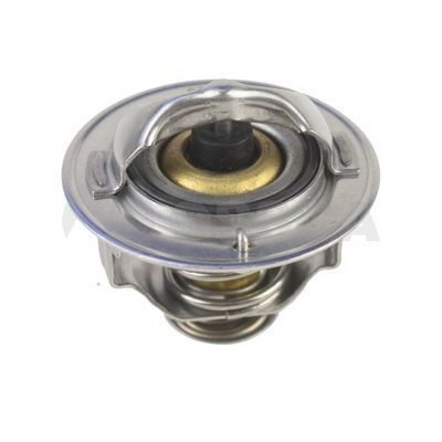 Termostatas, aušinimo skystis OSSCA 03038