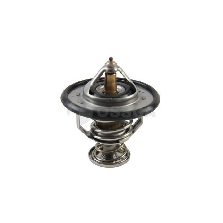 Termostatas, aušinimo skystis OSSCA 12429