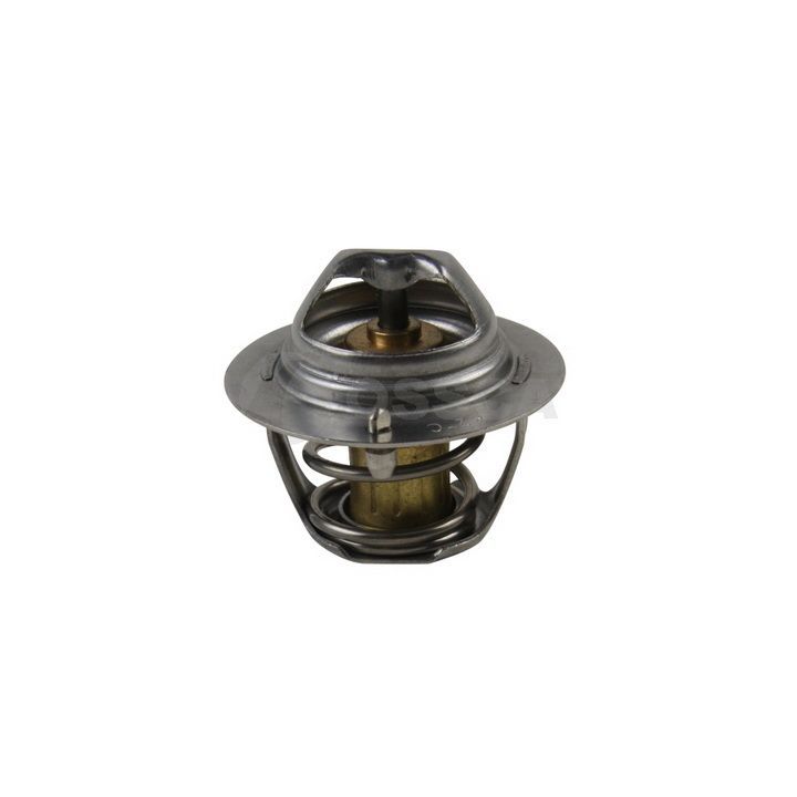 Termostatas, aušinimo skystis OSSCA 21020