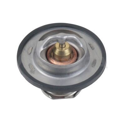 Termostatas, aušinimo skystis OSSCA 64593