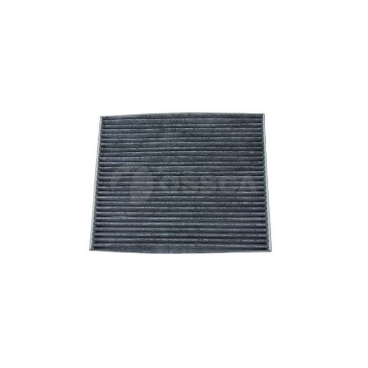 Filtras, salono oras OSSCA 12567