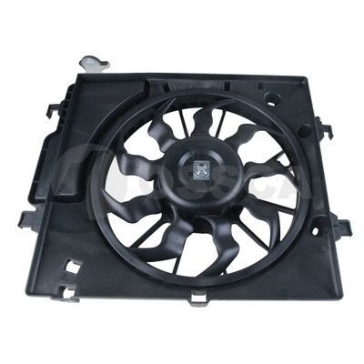 Ventiliatorius, radiatoriaus OSSCA 57354