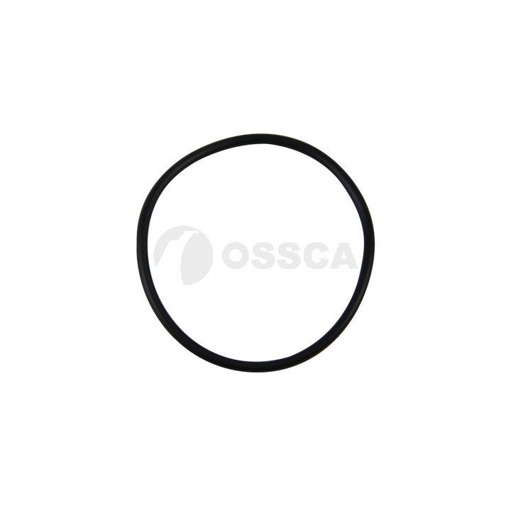 O žiedas, stūmiklio vamzdelis OSSCA 21131