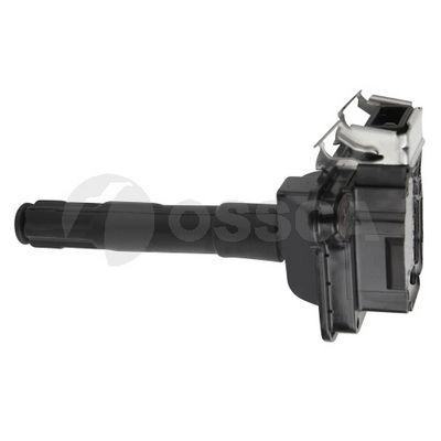 Ritė, uždegimas OSSCA 00409