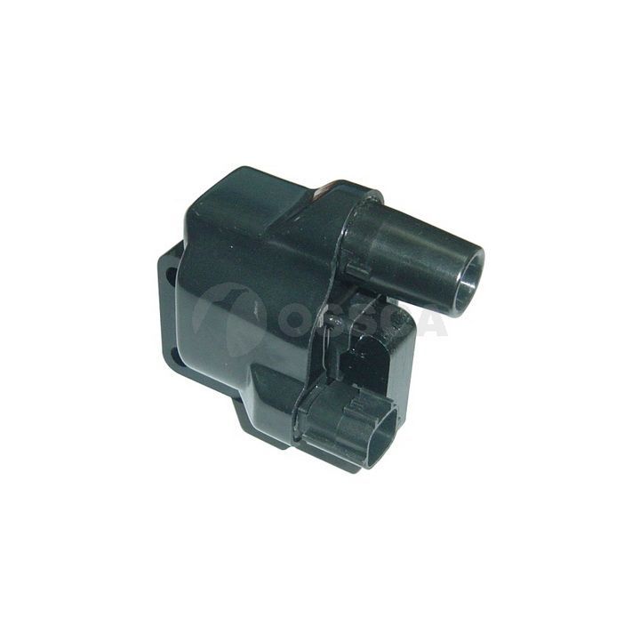 Ritė, uždegimas OSSCA 01418