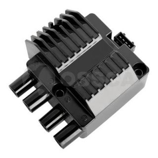 Ritė, uždegimas OSSCA 01523