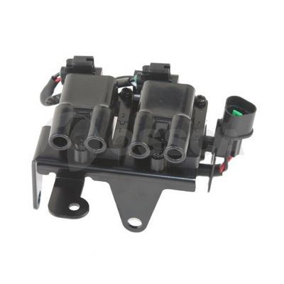 Ritė, uždegimas OSSCA 04814