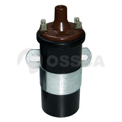 Ritė, uždegimas OSSCA 04843