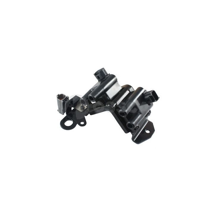 Ritė, uždegimas OSSCA 04844