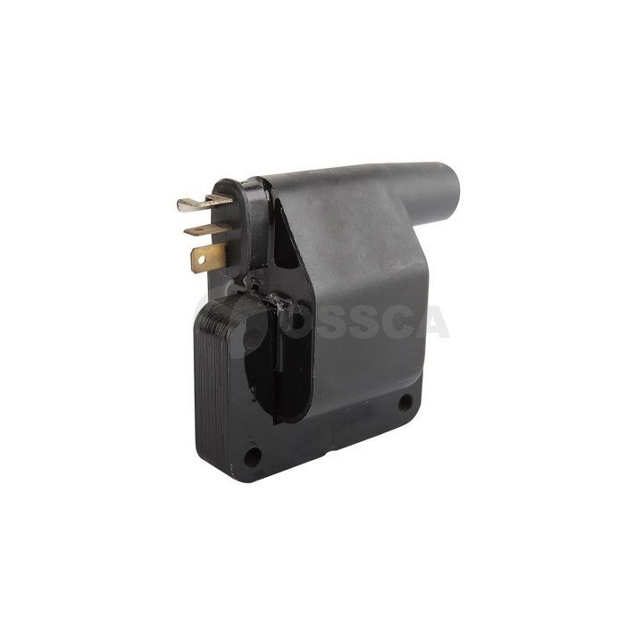 Ritė, uždegimas OSSCA 05503