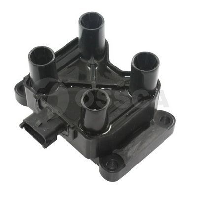 Ritė, uždegimas OSSCA 05527