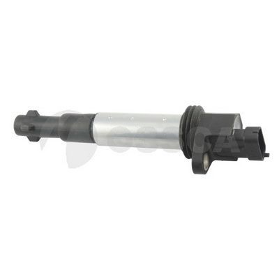 Ritė, uždegimas OSSCA 05528