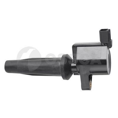 Ritė, uždegimas OSSCA 05925