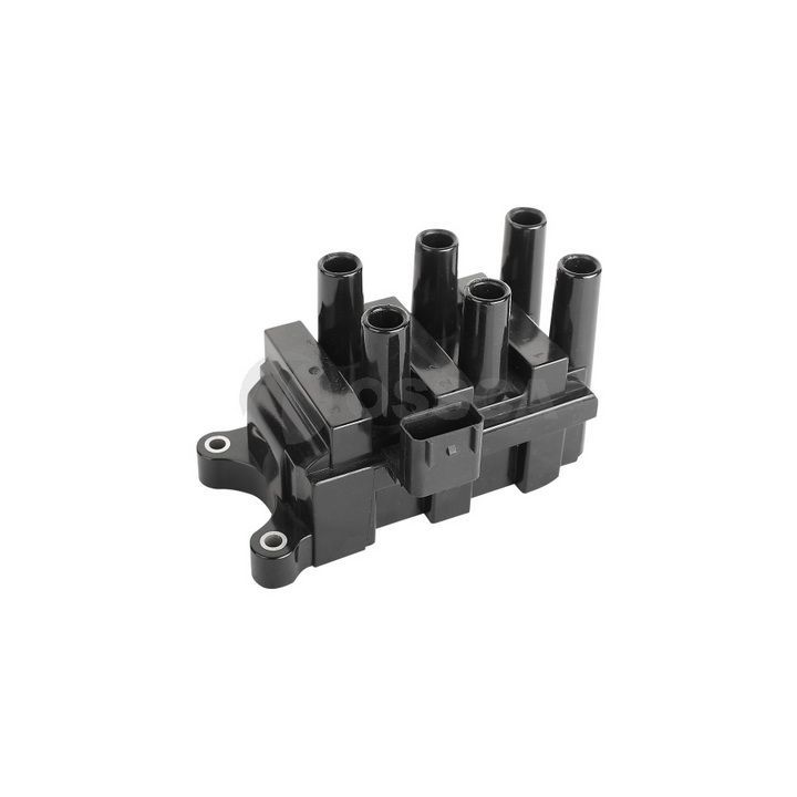 Ritė, uždegimas OSSCA 05928