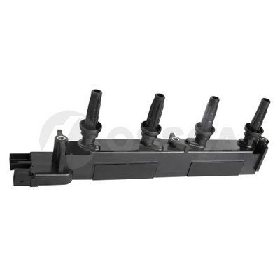 Ritė, uždegimas OSSCA 05932