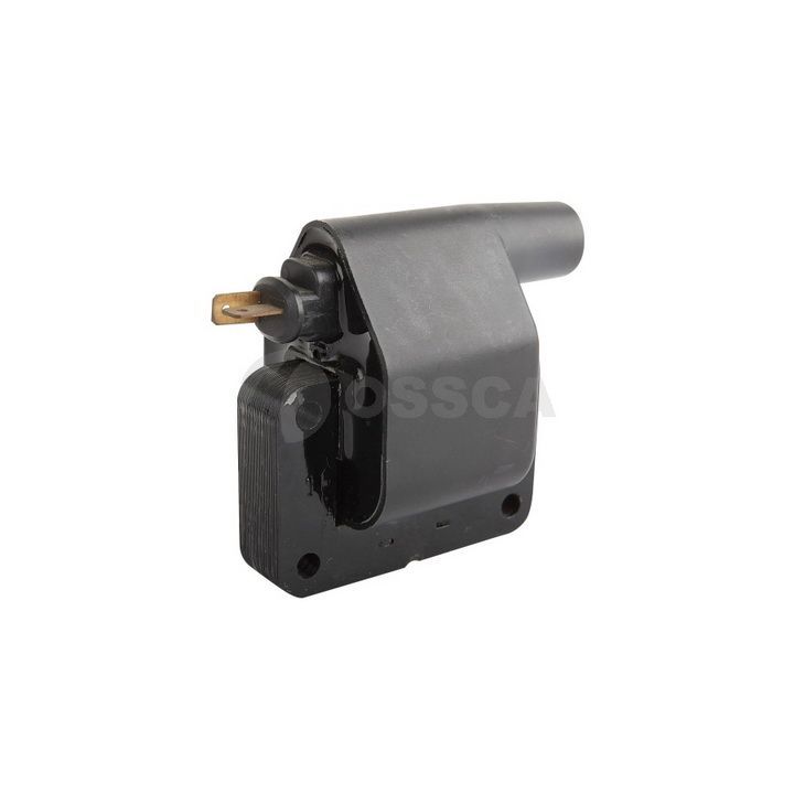 Ritė, uždegimas OSSCA 05936