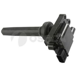 Ritė, uždegimas OSSCA 05939