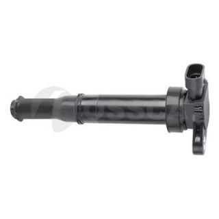 Ritė, uždegimas OSSCA 05942