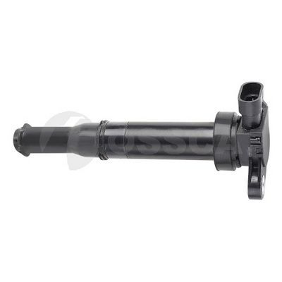 Ritė, uždegimas OSSCA 05942