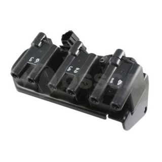 Ritė, uždegimas OSSCA 05943