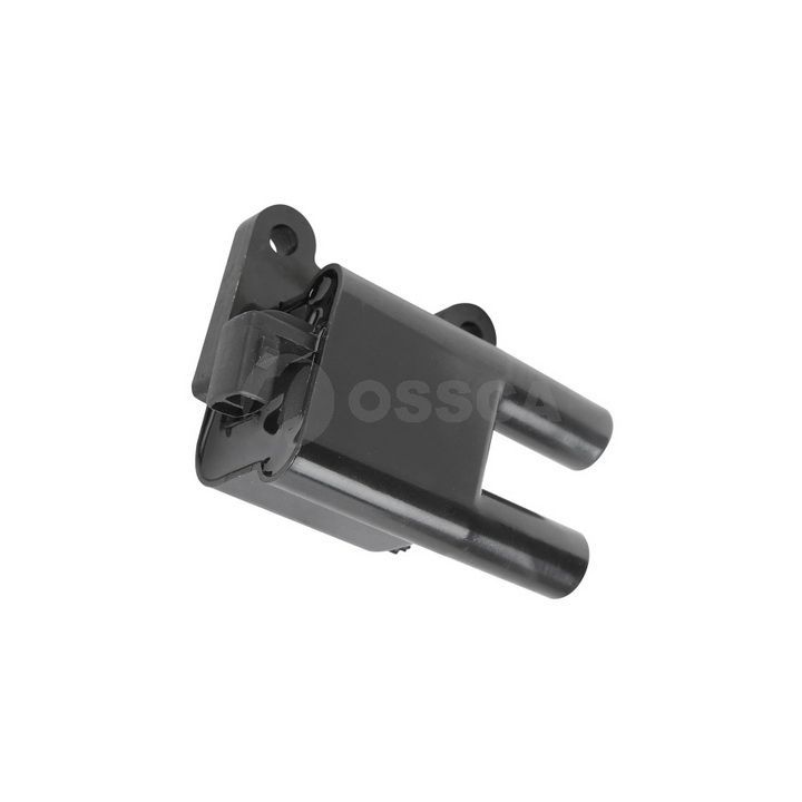 Ritė, uždegimas OSSCA 05944