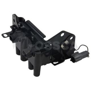 Ritė, uždegimas OSSCA 05948