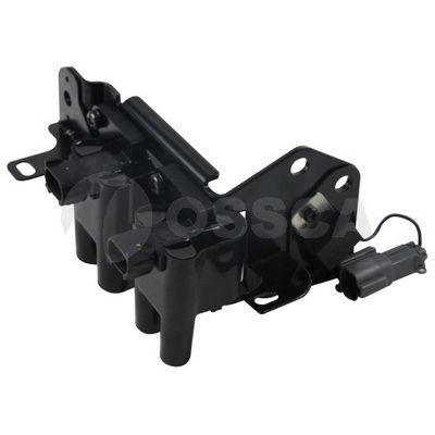 Ritė, uždegimas OSSCA 05948