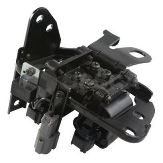 Ritė, uždegimas OSSCA 06320