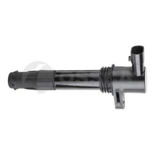 Ritė, uždegimas OSSCA 07544