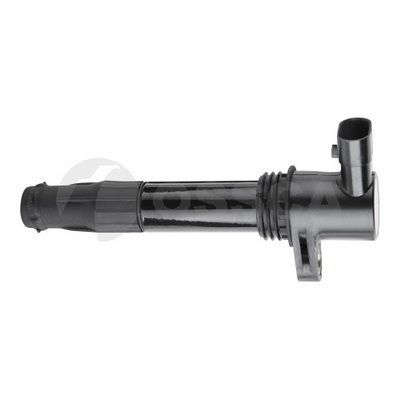 Ritė, uždegimas OSSCA 07544