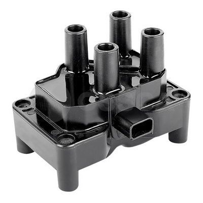 Ritė, uždegimas OSSCA 07726