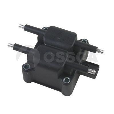 Ritė, uždegimas OSSCA 07967