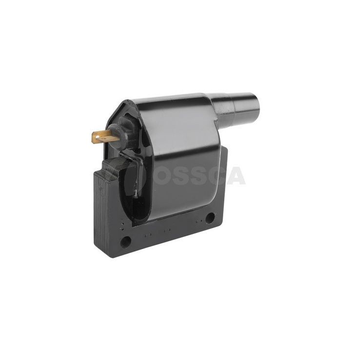 Ritė, uždegimas OSSCA 07968