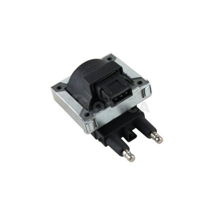 Ritė, uždegimas OSSCA 07979