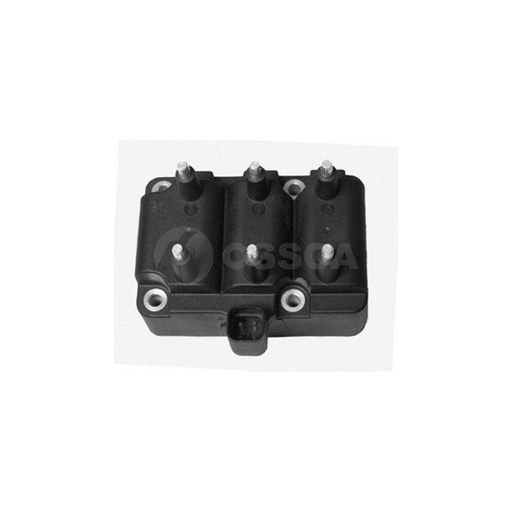 Ritė, uždegimas OSSCA 07989