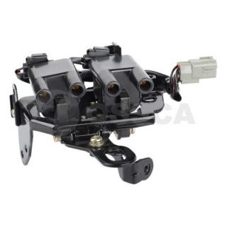 Ritė, uždegimas OSSCA 08001